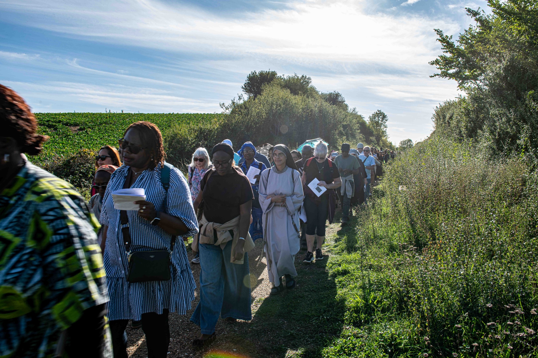 Walsingham-229