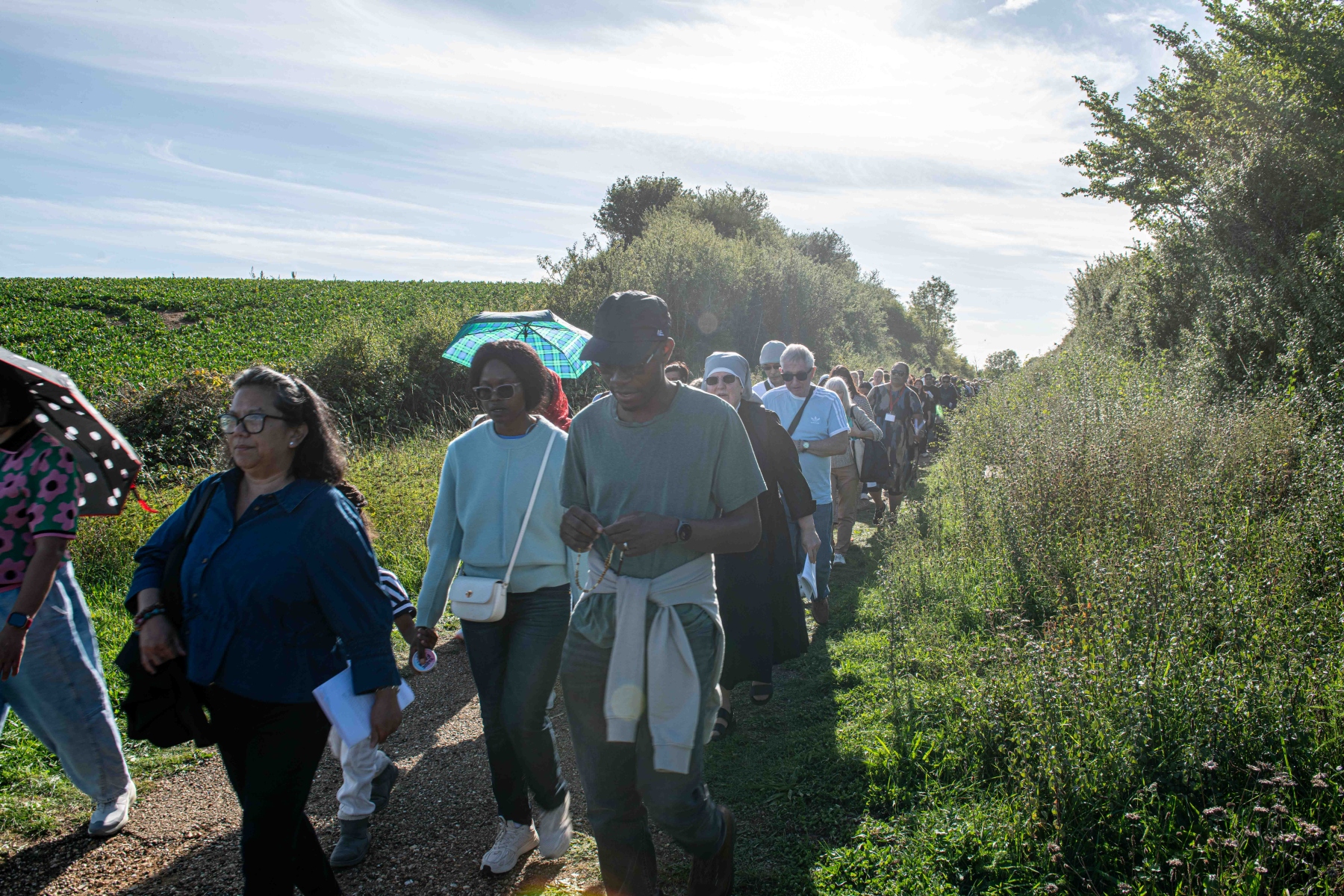 Walsingham-230